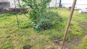 таймер полива осциллирующий дождеватель