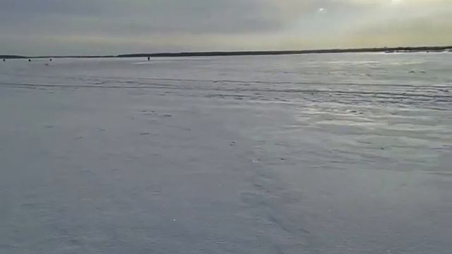 Ведро окуней в глухозимье