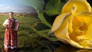 София Горбунова  "Верила,верила,верю "