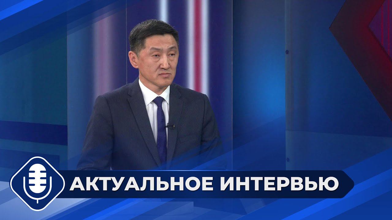 Управлением ветеринарии Якутии составлено 802 протокола на нерадивых владельцев животных в 2023 году