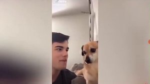 Челенж попробуй не засмеятся