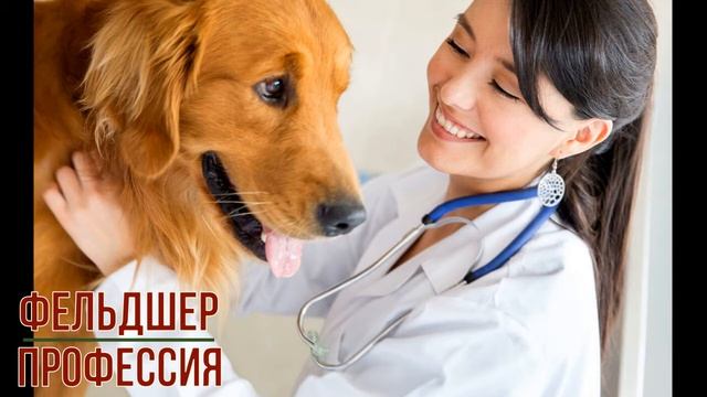 Фельдшер профессия смотреть онлайн