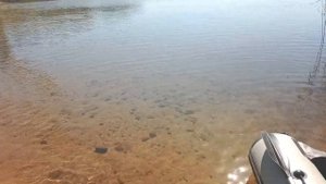 озеро СНУДЫ.Браславские Озера глазами тех, кто там и живёт.Снуды,рыбное место с самой чистой водой.