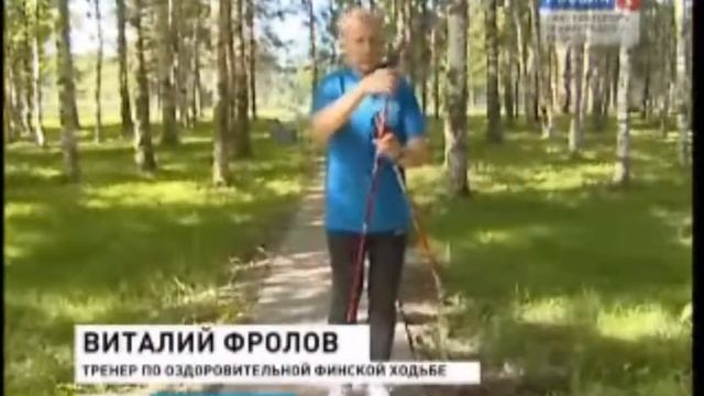 Купить палки для Скандинавской ходьбы в Царском Селе ....