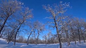 Прогулка по хрустящему снегу - 1 час релакса