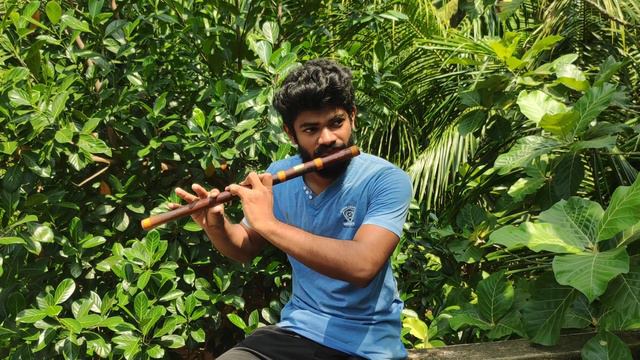 Coffin dance music played in flute смотреть онлайн