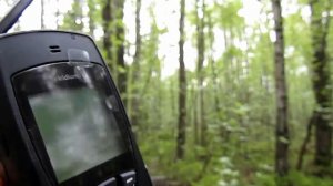 Iridium 9555 тест №1