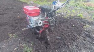 Фрезерую мотоблоком.