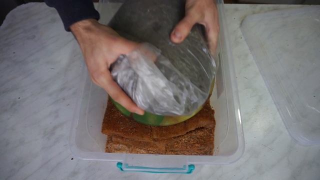 ВЯЛЕНАЯ РЫБА / Балык из Толстолобика / Dried Fish смотреть онлайн