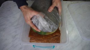 ВЯЛЕНАЯ РЫБА / Балык из Толстолобика / Dried Fish