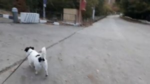 Море в октябре / Абрау Дюрсо/Идем на пляж.