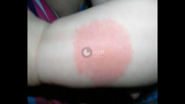 Мошкара смотреть онлайн