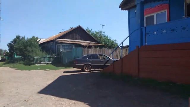 Хакасия 04.08.18. Соленоозерное.Встретила кошка!