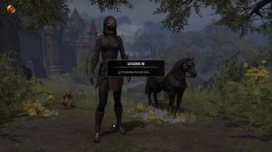 Elder Scrolls Online |   Fishing for  Artaeum Takeaway Broth  Legendary recipe.