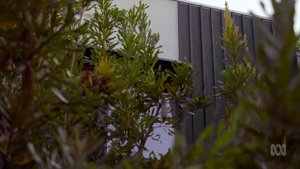 Grand Designs 2024 - Northern Beaches & Melbourne | Grand Designs 2024 Full Episode
