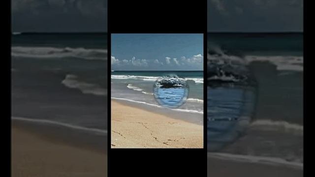 Тропический пляж с голубым небом