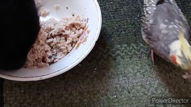 Славянск. 01.08.22. Трудно без новостей в понедельник.