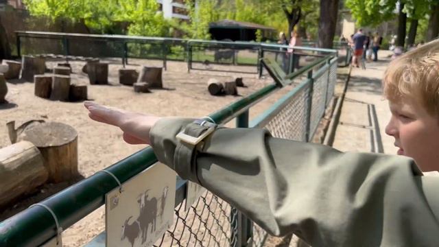 Святик Айс/ Światek Ice /Sviatek Ice 1 maja. Прогулка 1 мая. Первое мая в Польше. Озеро. Зоопарк смотреть онлайн