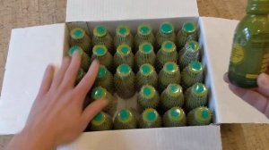 живая хлорелла на кремниевой воде - распаковка (курс на месяц в стеклянных бутылочках по 100 мл.)
