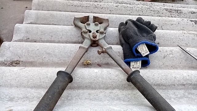 Эдильбаевские овцы,, (стрижка,) смотреть онлайн