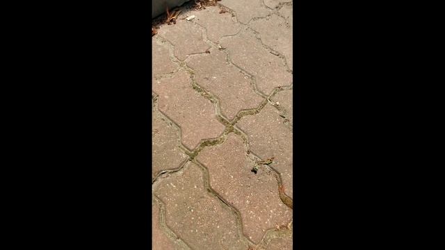Гидрофобизация Брусчатки ФЭМ