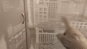 Сделала полку на балкон, из пластмассовых ящиков.🥰