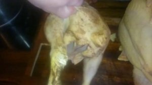 Как отличить домашнего бройлера от магазинного