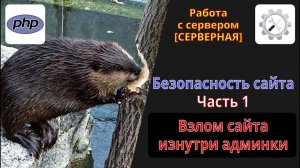 Безопасность сайта. Часть 1. Взлом сайта изнутри админки с помощью PHP.