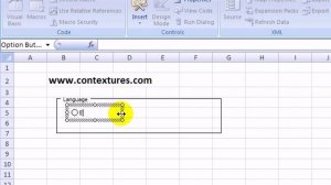 Pick Answers With Excel Option Boxes