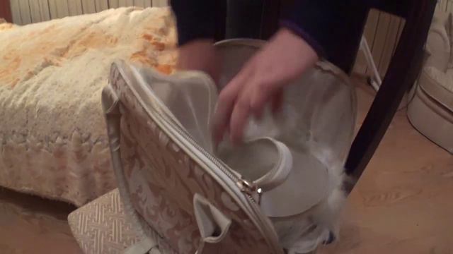 Транспортировка животных смотреть онлайн