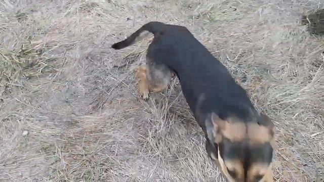 Оно надо? Бросил всё и ушел  в отшельники. есть ли кайф в одиночестве?