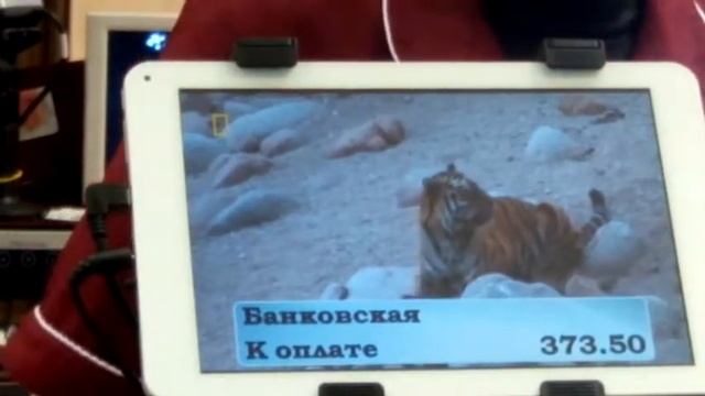 Дисплей покупателя мультимедийный смотреть онлайн