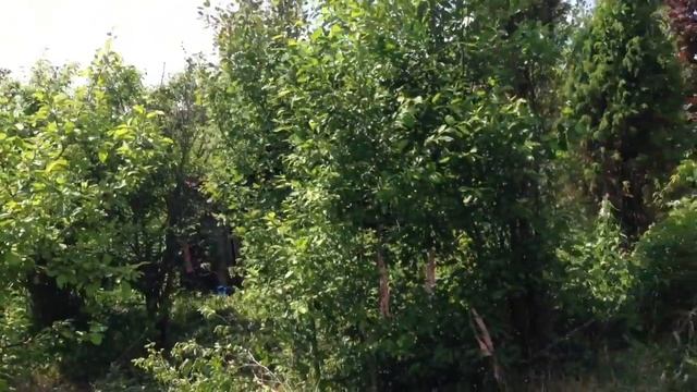 Дача6 смотреть онлайн