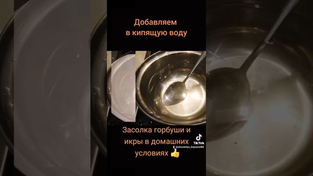 Засолка икры и филе горбуши!!! #икра #горбуша #рыба #рецепты #рецепт #pinksalmon #recipe #caviar смотреть онлайн