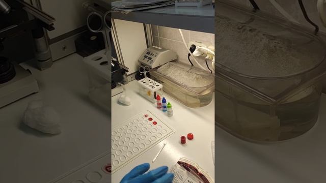 Определение группы крови и проба на совместимость смотреть онлайн