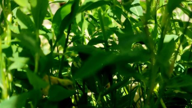 Почему нельзя стирать в пятницу: что означает древняя примета смотреть онлайн