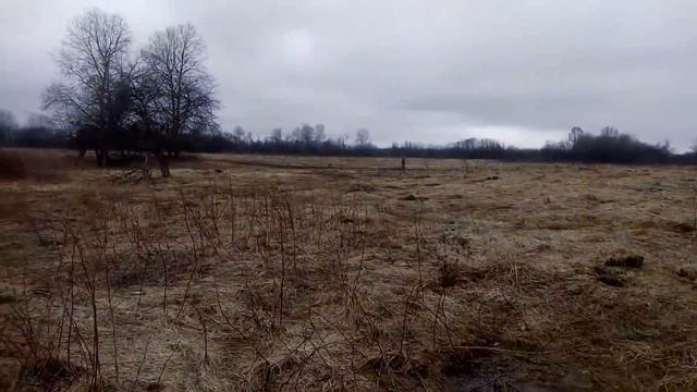 Зачетный коп. 5 копеек 1877 года. И другие находки. смотреть онлайн