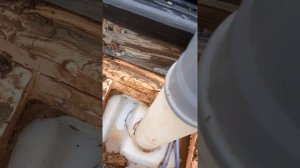 Погреб Тингард (tingard)