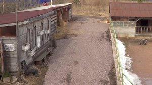 Мотороллер Муравей, меняю масло в кпп двигателя.