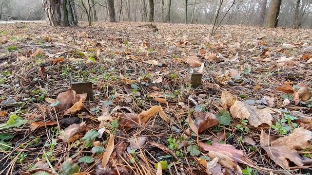 Копаю металлолом без лопаты и металлоискателя! смотреть онлайн