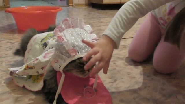 Опаздываю На Работу/Делаем Уроки/В Магазин, Покупки/У Нас Новый Малыш/Вечерняя ГИМНАСТИКА/11.11.20 смотреть онлайн