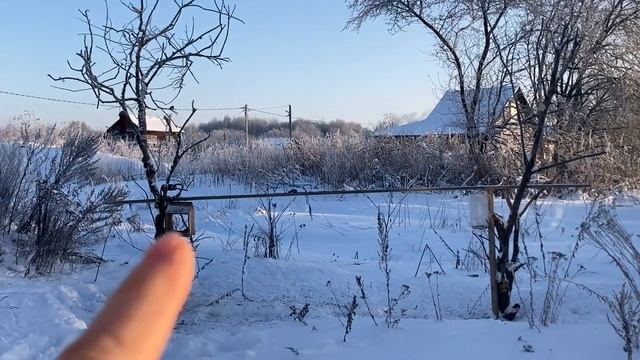 Начали с одной кормушки, а теперь у нас целый птичий двор. Как и чем мы подкармливаем зимующих птиц