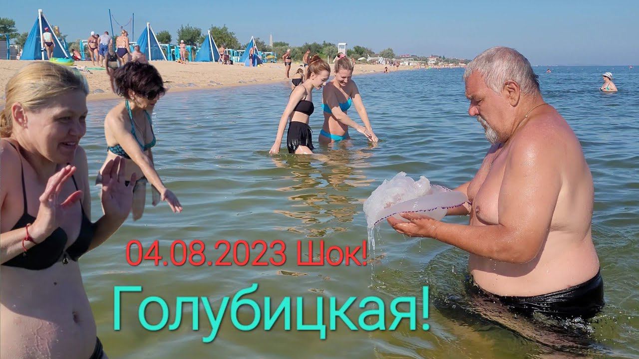 4 августа 2023 г. Голубицкая - Медузы.! ШОК и ТРЕПЕТ.! Что вообще тут происходит?