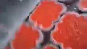 продам вибростол для изготовления брусчатки и тратуарной плитки методом вибропрессования