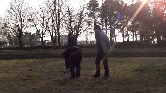 Vlog #1-Total random sh*t! :D Git se pase :D смотреть онлайн