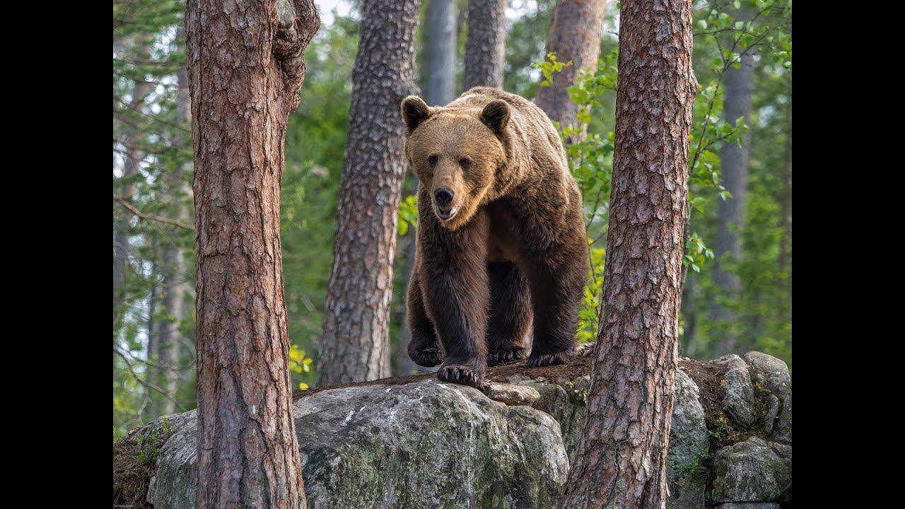 На рыбалке на Ноте .1993 год смотреть онлайн