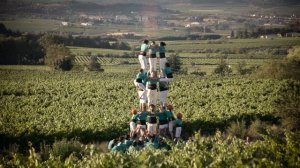 3 de 8 Castellers de Vilafranca a les vinyes del Penedès