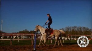 КСК "Донские Кони". Лебедянь май 2022