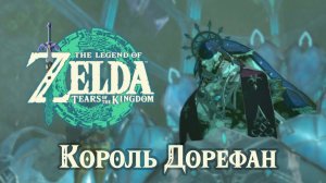 Король ДОРЕФАН - дар короля | The Legend of Zelda: Tears of the Kingdom прохождение #19