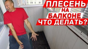 Плесень на балконе. Почему нельзя запенивать холодный балкон?